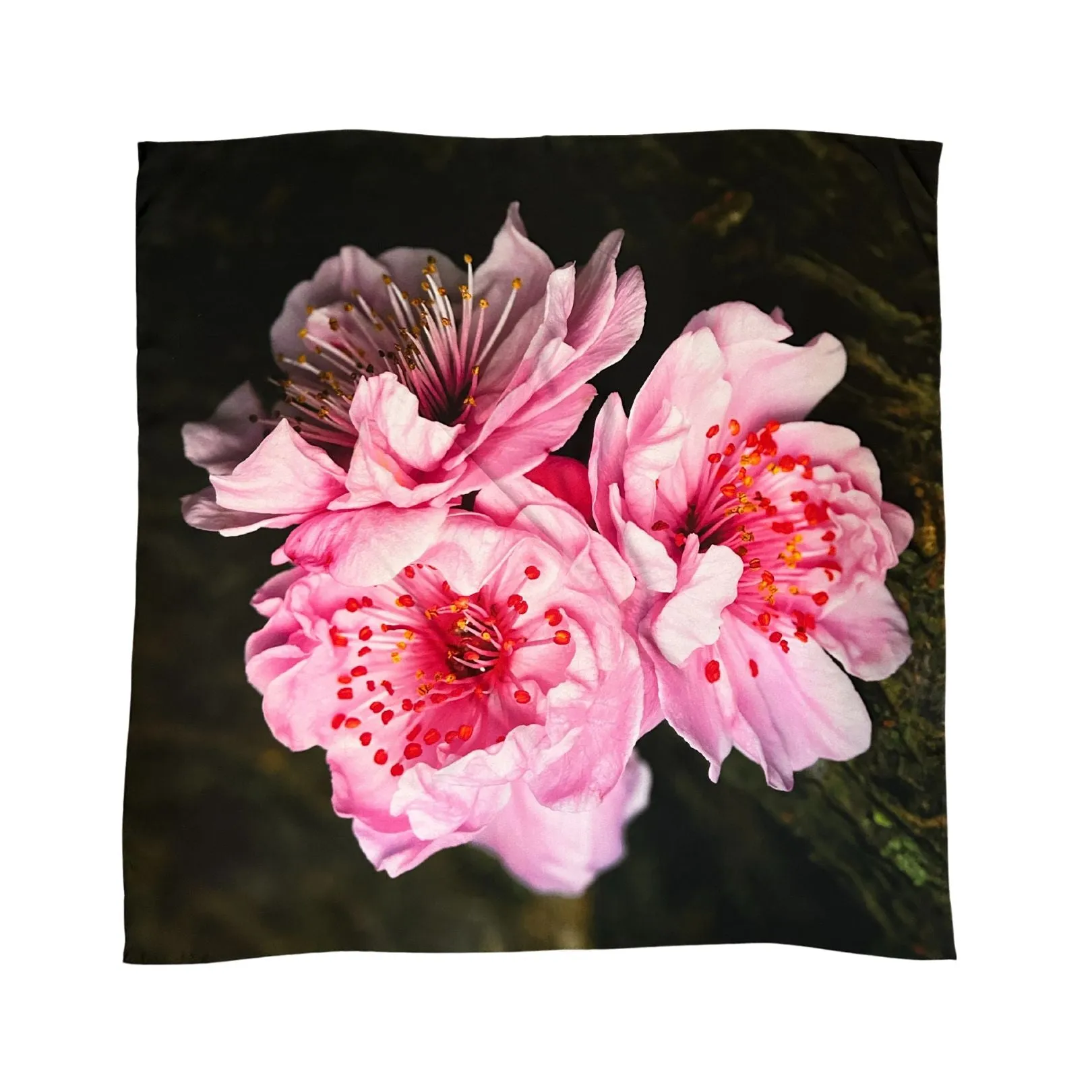 Sakura Blossom Silk Scarf